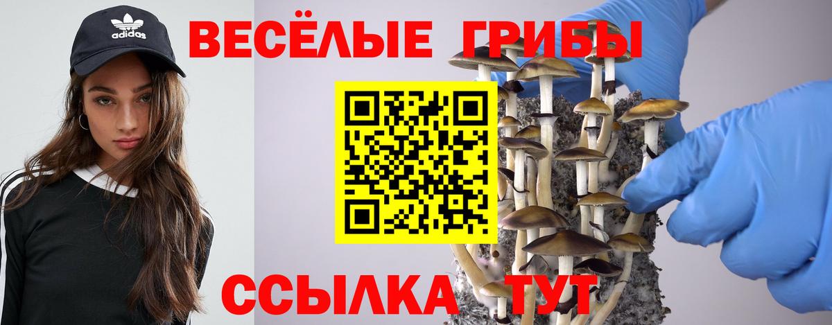 Галлюциногенные грибы MAGIC MUSHROOMS Уварово