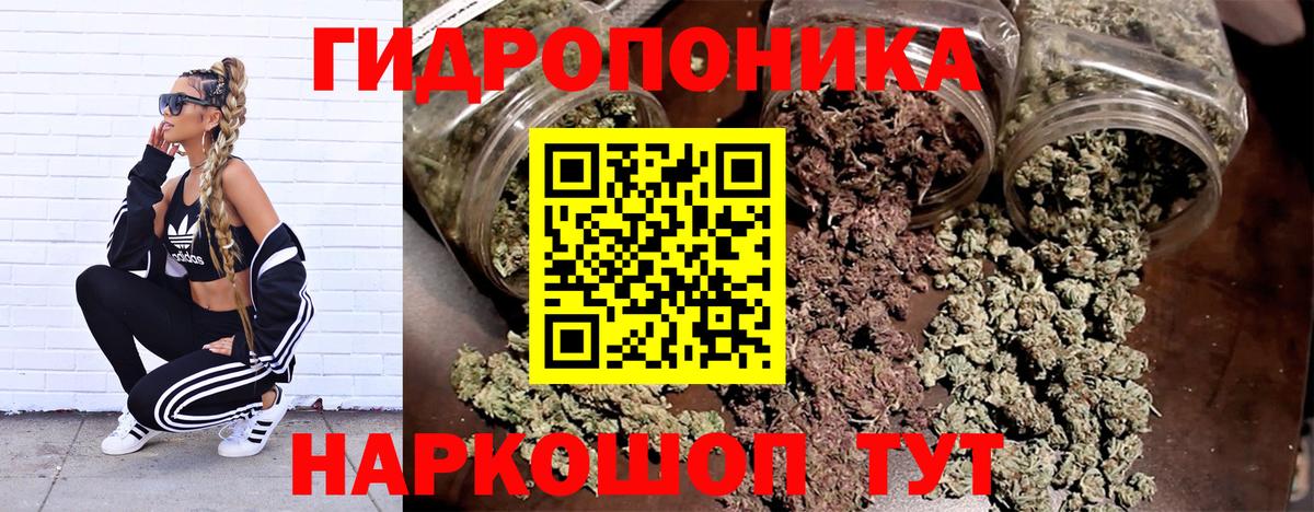 Каннабис ГИДРОПОН  Канабис план  Вход с VPN  Марихуана Amnesia  Уварово 